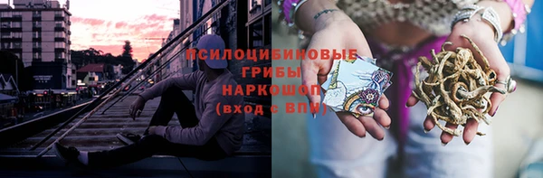 молекула духа Белоозёрский