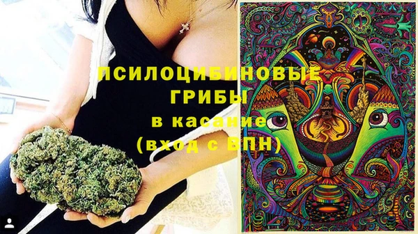 молекула духа Белоозёрский