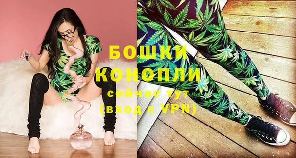 молекула духа Белоозёрский