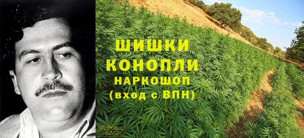 винт Белокуриха